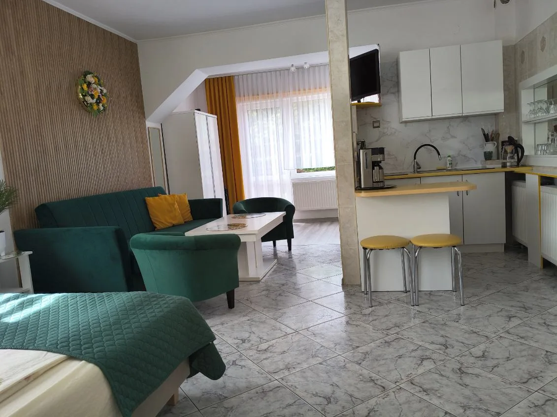 Apartament z aneksem kuchennym – salon i kuchnia